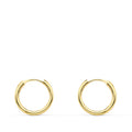 PENDIENTES AROS PM18405