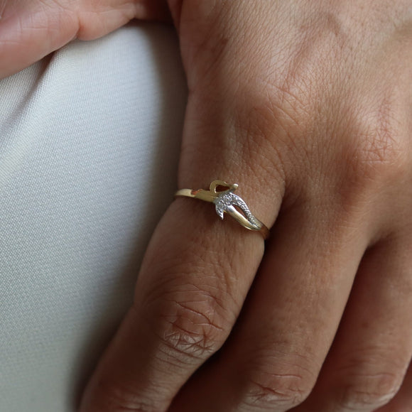 SORTIJA  BICOLOR CIRCONITAS VF20777-2