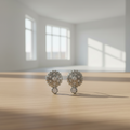 PENDIENTES PLATA DE LEY CIRCONITAS CLIP II