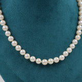 COLLAR DE PERLAS CULTIVO