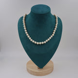 COLLAR DE PERLAS CULTIVO